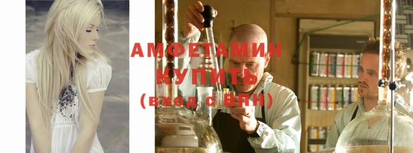 хмурый Алексин