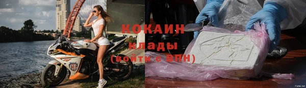 хмурый Алексин