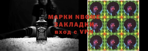 хмурый Алексин