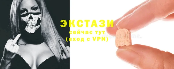 хмурый Алексин