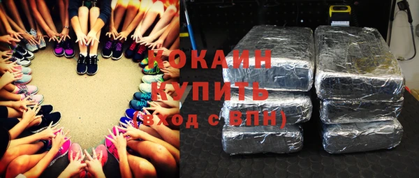 шишки Горно-Алтайск