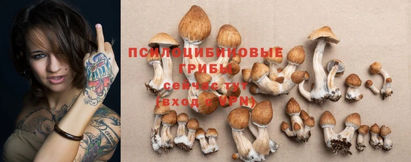 хмурый Алексин